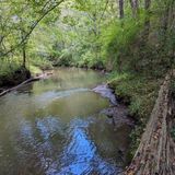 Line Creek Nature Area, Georgia - 620 Reviews, Map | AllTrails