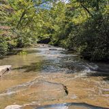 Line Creek Nature Area, Georgia - 620 Reviews, Map | AllTrails