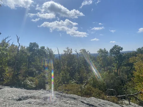 Best Hikes and Trails in Dart Island State Park AllTrails