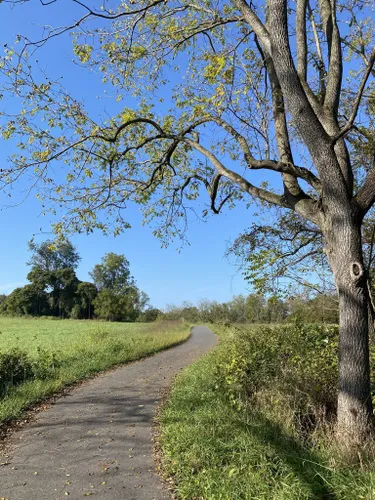 White clay creek best sale state park mountain biking