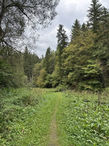 Neckartäler Hangweg