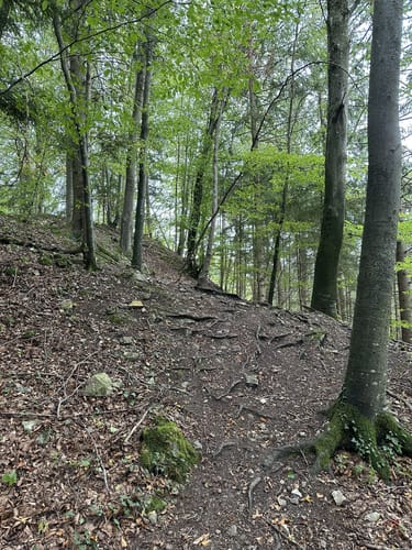Neckartäler Hangweg