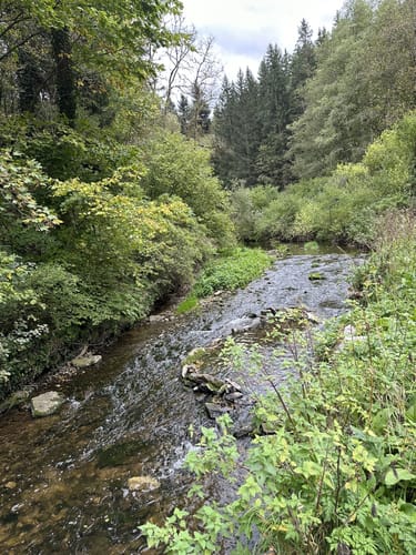Neckartäler Hangweg