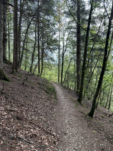 Neckartäler Hangweg