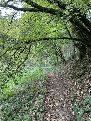 Neckartäler Hangweg