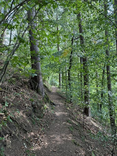Neckartäler Hangweg