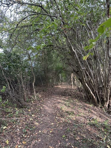 Neckartäler Hangweg