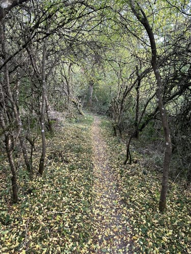 Neckartäler Hangweg