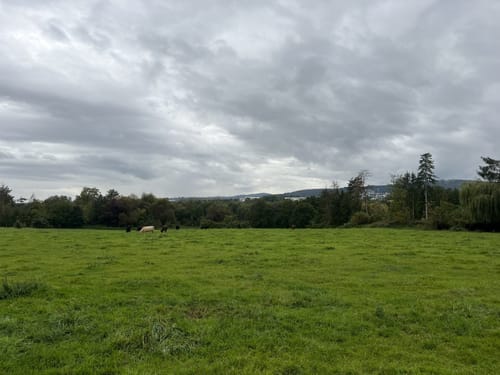 Niederhöchstadt - Skulpturenpark - Tal des Westerbachs