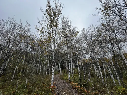 Denbigh Experimental Forest Trail, North Dakota - 74 Reviews, Map