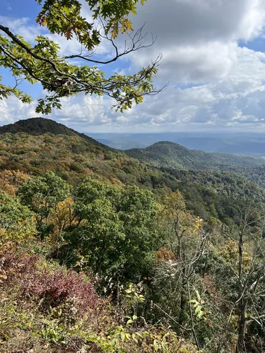 Monongahela national clearance forest best hikes