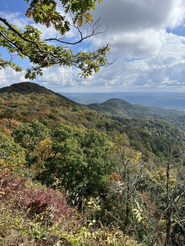 Photos of Monongahela National Forest, West Virginia walking trails