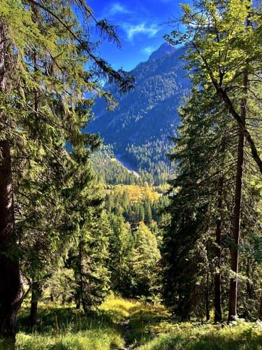 Hochplatte