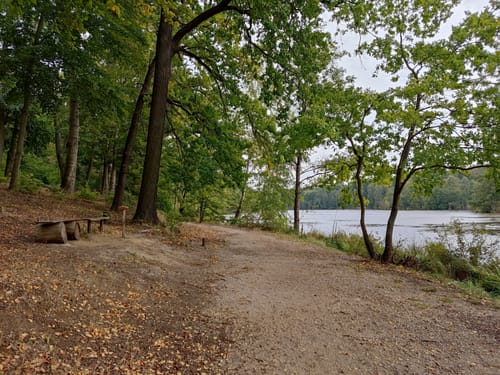 Naturlehrpfad Dahlenberg