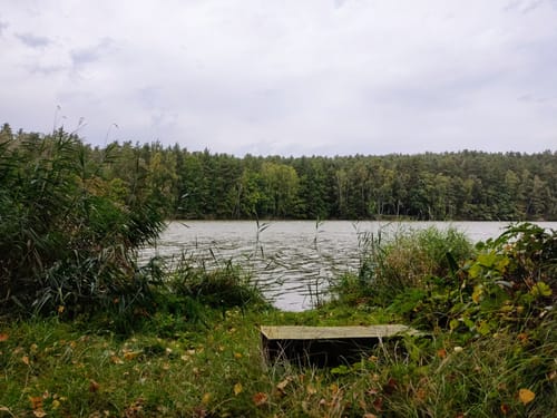 Naturlehrpfad Dahlenberg