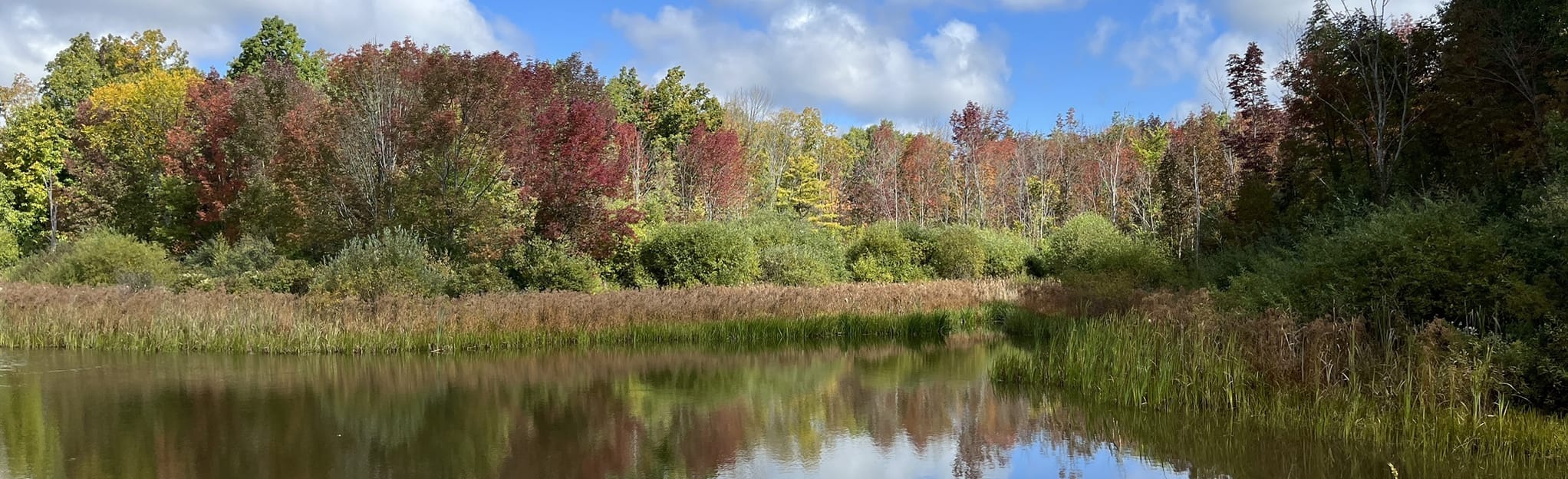 Finger Lakes Backbone Trail, New York 132 Reviews, Map AllTrails
