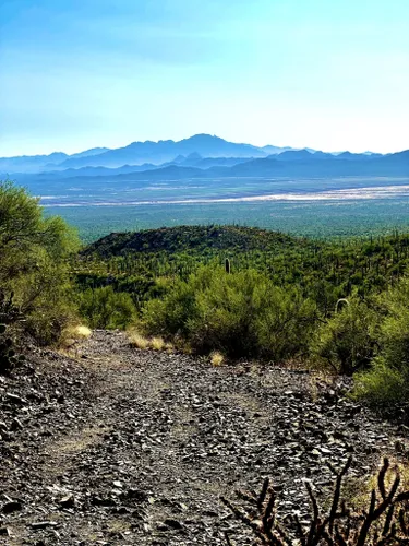 Mejores caminatas de invierno en Arizona: agua, montañas y saguaros
