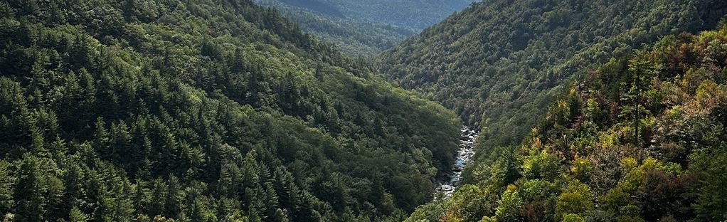 Not to brag, but Linville Gorge Wilderness is giving rugged good looks a  whole new meaning. ✨ Pull on your boots, grab a trail map and…