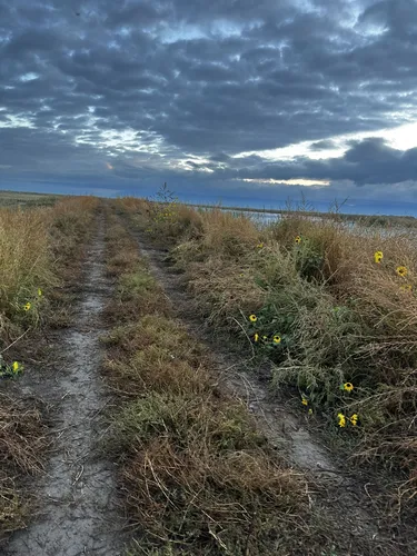Best Hikes and Trails in Ogden Bay Waterfowl Management Area AllTrails