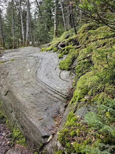 2023 Best Dog Friendly Trails in Belvidere Center AllTrails