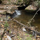 Copperas Falls, Kentucky - 2,154 Reviews, Map | AllTrails