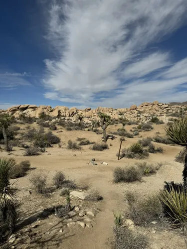 Las Vegas, una visión hecha realidad, un oasis en el desierto