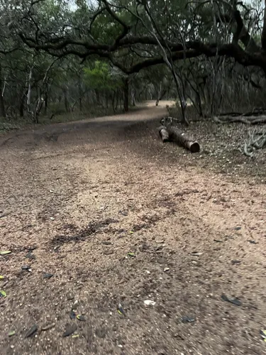 2023 Best Stroller Friendly Trails In Jbsa Ft Sam Houston | AllTrails