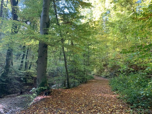 Feldafing - Possenhofen - Tutzing
