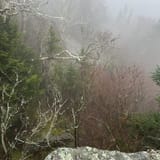 Sunset Ridge and Long Trail Loop, Vermont - 1,303 Reviews, Map | AllTrails