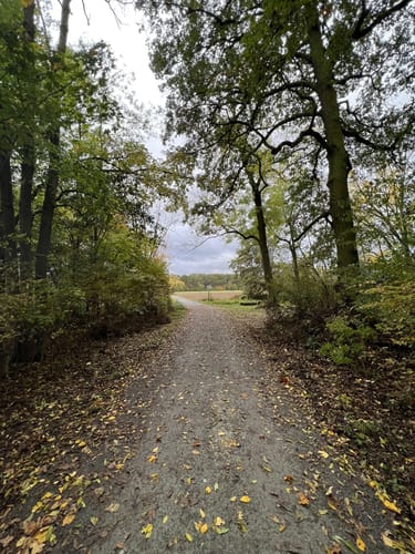Höllenweg, Schwanheimer Wiese und Römerweg Rundweg