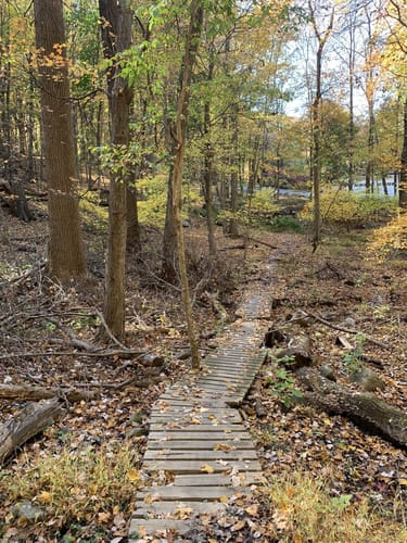 Sprain ridge park online mountain biking