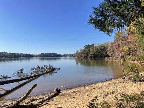 10 Best Hikes and Trails in Latta Nature Preserve | AllTrails