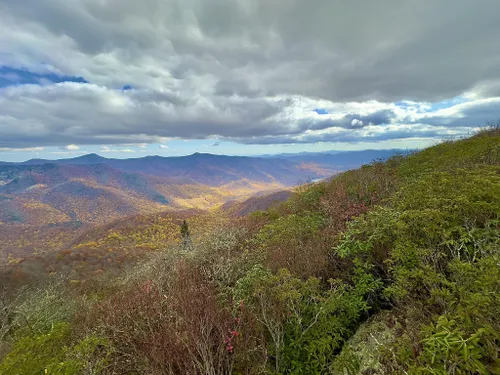 10 Best Trails and Hikes in Black Mountain | AllTrails