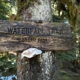 Koosah and Sahalie Falls Trail, Oregon - 1,575 Reviews, Map | AllTrails