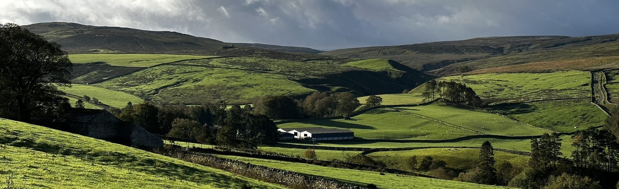 Garrigill and Ashgill Force Circular, Cumbria, England 74 Reviews