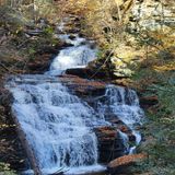 Ricketts Glen Falls Loop, Pennsylvania - 3,881 Reviews, Map 