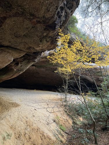 White Rocks and Sand Cave - American Byways