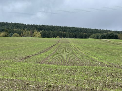 Saar-Hunsrück-Steig Etappe 11: Morbach - Kempfeld