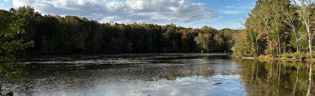 Beautiful Tuesday before clouds and rain push into South Carolina