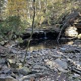 Fiery Gizzard Trail to Raven's Point, Tennessee - 1,120 Reviews, Map ...