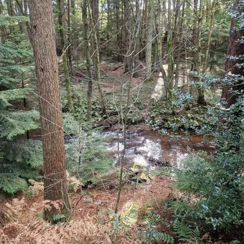 2023-best-historic-site-trails-in-hamsterley-forest-alltrails