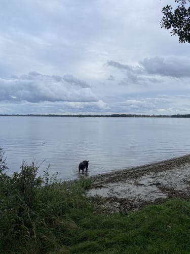 Rund um den Wittensee aus Bünsdorf
