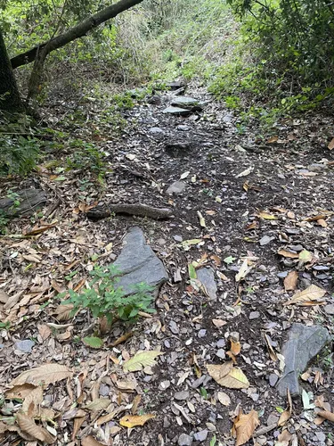 2023 Best Views Trails in Area Naturale Protetta di Interesse Locale