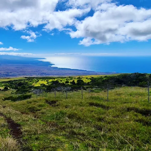 Best 10 Hiking Trails in Pu’u Eke & Pu’u O Umi Forest Reserve | AllTrails