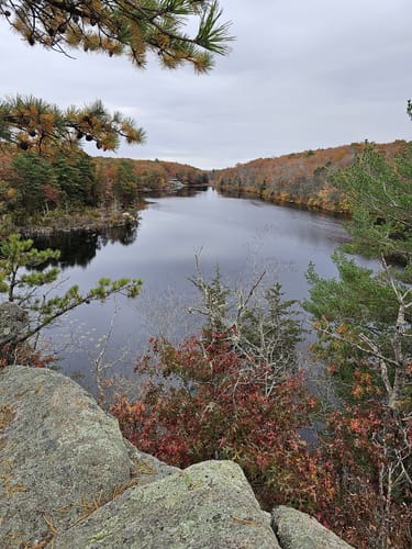 Ell pond 2024 preserve trailhead