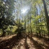Edwin M. Griffin Nature Preserve, South Carolina - 486 Reviews, Map ...
