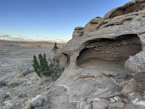 Best Dogs On Leash Trails in Chaco Culture National Historical