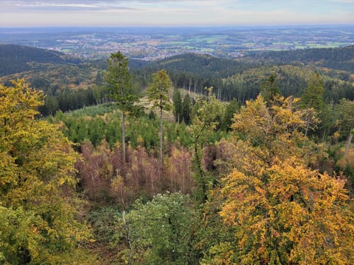 Teutoburger Wald: Kammweg und Sachsenweg