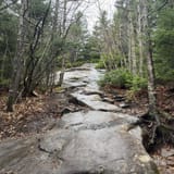 Whiteface Mountain Summit Trail - EyJidWNrZXQiOiJhc3NldHMuYWxsdHJhaWxzLmNvbSIsImtleSI6InVwbG9hZHMvcGhvdG8vaW1hZ2UvNjc1MDMxMTgvMTNhZDY5MWM3MGY5ZmY0ZWMwYWU1ZWMxNTJkNTlhNWMuanBnIiwiZWRpdHMiOnsidG9Gb3JtYXQiOiJqcGVnIiwicmVzaXplIjp7IndpZHRoIjoxNjAsImhlaWdodCI6MTYwLCJmaXQiOiJjb3ZlciJ9LCJyb3RhdGUiOm51bGwsImpwZWciOnsidHJlbGxpc1F1YW50aXNhdGlvbiI6dHJ1ZSwib3ZlcnNob290RGVyaW5naW5nIjp0cnVlLCJvcHRpbWlzZVNjYW5zIjp0cnVlLCJxdWFudGlzYXRpb25UYWJsZSI6M319fQ==