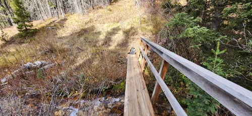 Dog friendly outlet hikes near yellowstone